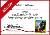 Pony-Schnupper-Schmusekurs Gutschein
