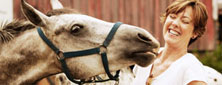 Reiten