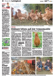 Die Sonnenhof Hühner ind der Ludwigsburger Kreiszeitung